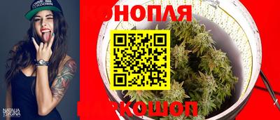 дживик Кингисепп