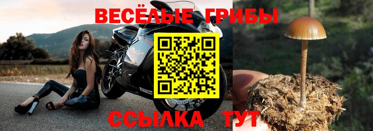 Галлюциногенные грибы прущие грибы  Вход с VPN  Галлюциногенные грибы Cubensis  Костомукша 